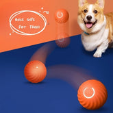 Rolling Ball Dog Toy – Motion-Activated Fun for Every Pup!