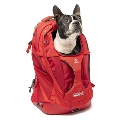 Kurgo G-Train Dog Carrier Backpack