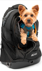 Kurgo G-Train Dog Carrier Backpack
