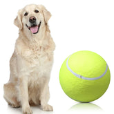 Lacasa Giant Tennis Ball – Where BIG Smiles Begin