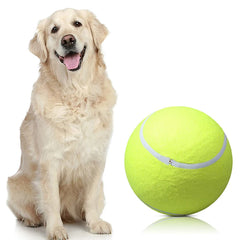 Lacasa Giant Tennis Ball – Where BIG Smiles Begin