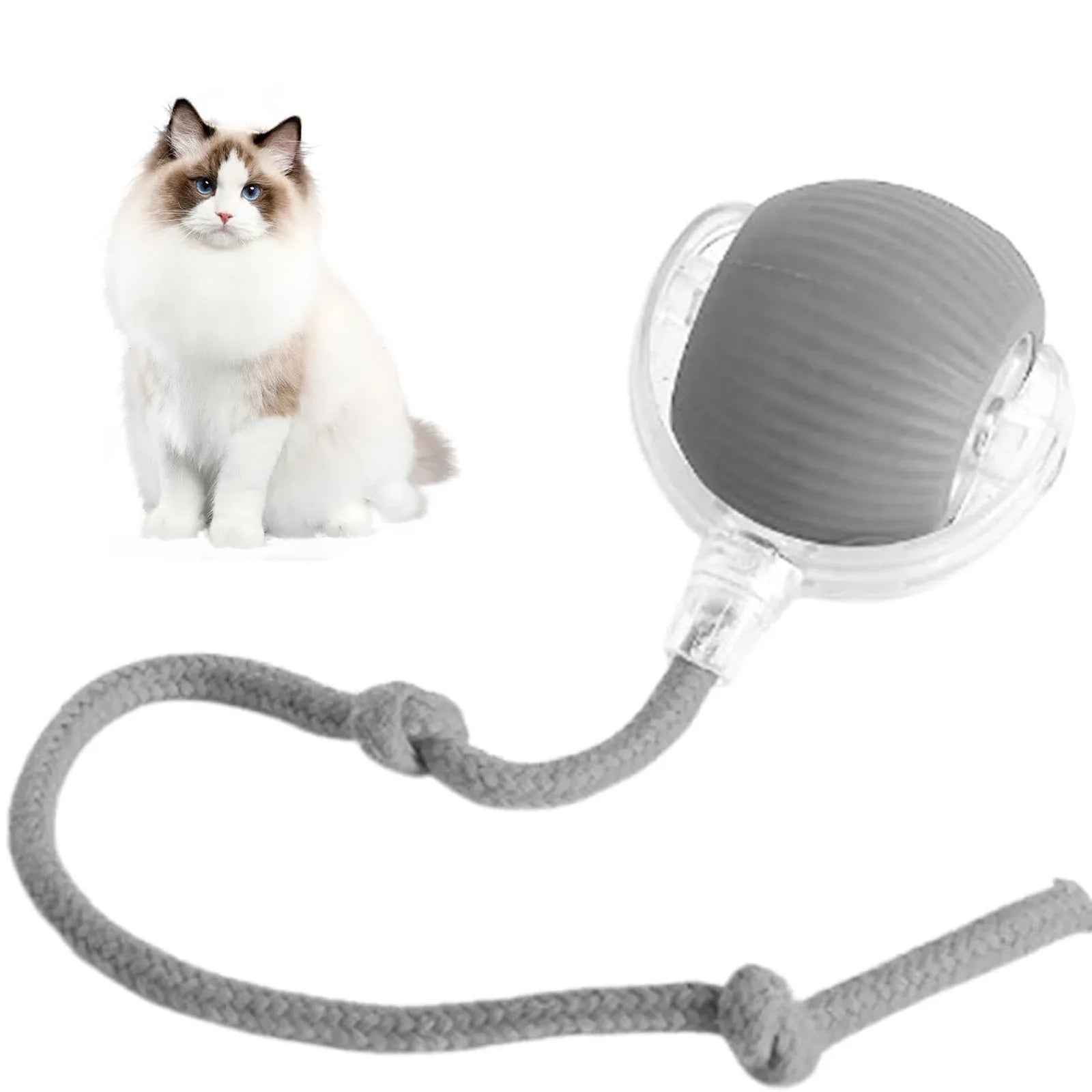 Lettuce Interactive Cat Toy – Rolling BounceTug Play Ball