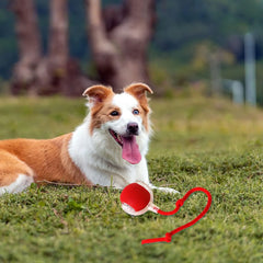 Lettuce Interactive Cat Toy – Rolling BounceTug Play Ball