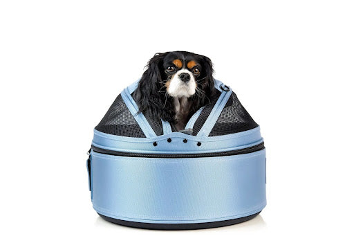 Sleepypod Mobile Pet Bed – 3-in-1 Luxury Carrier
